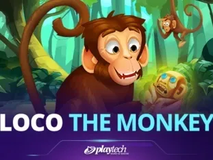 Loco The Monkey game icon